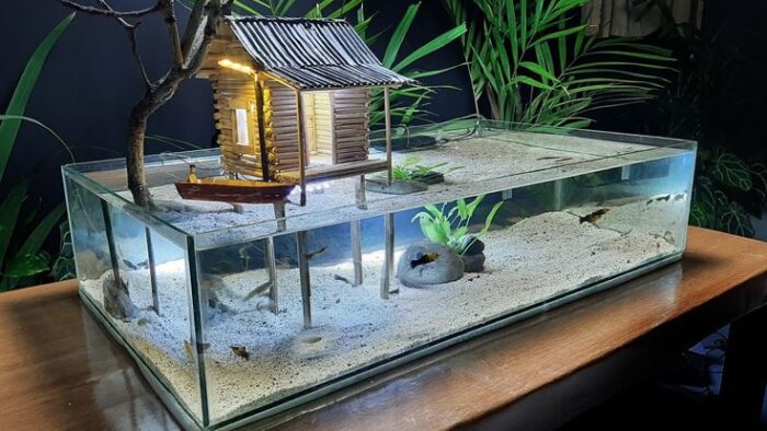 DIY Aquarium Decor Ideas In 2024