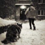 Колючий снег неприятно щипал лапки, но другого выхода у нее не было Колючий снег неприятно щипал лапки, но другого выхода у нее не было